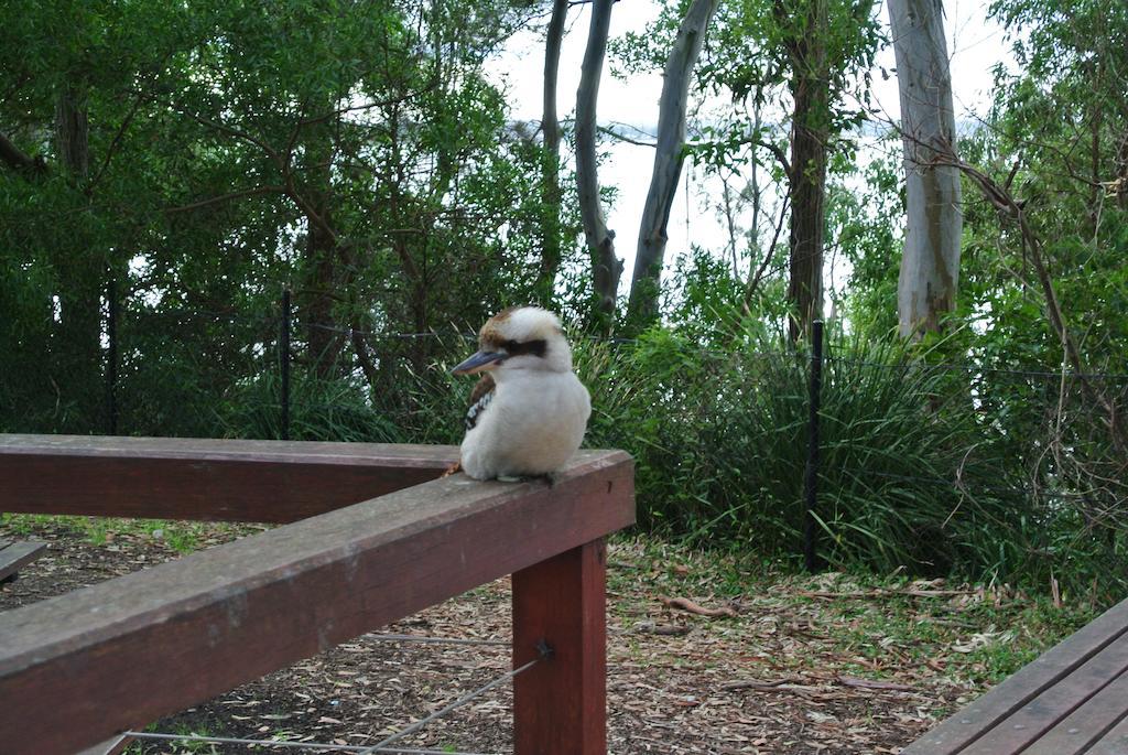 Huskisson Beach Motel Bagian luar foto