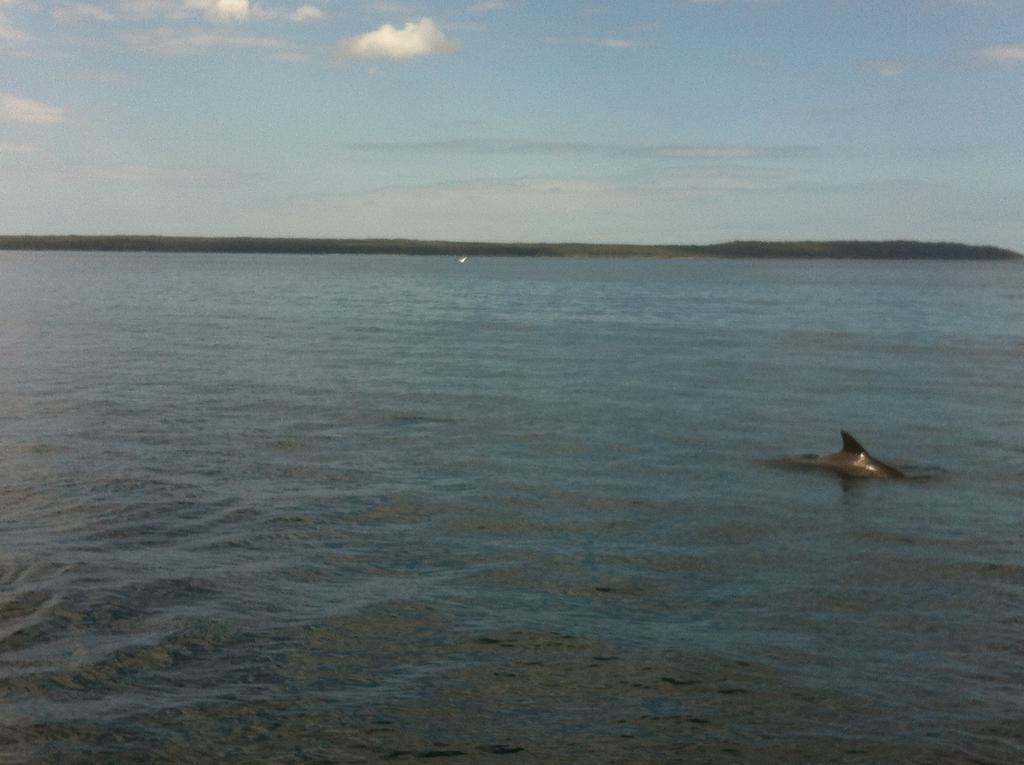 Huskisson Beach Motel Bagian luar foto